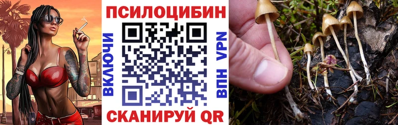 Галлюциногенные грибы Psilocybine cubensis  Одинцово 